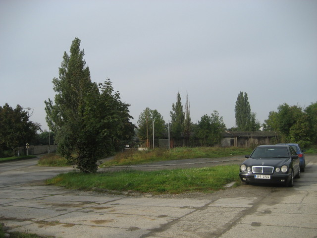 img_4898-med.jpg