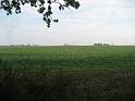 img_4814-med